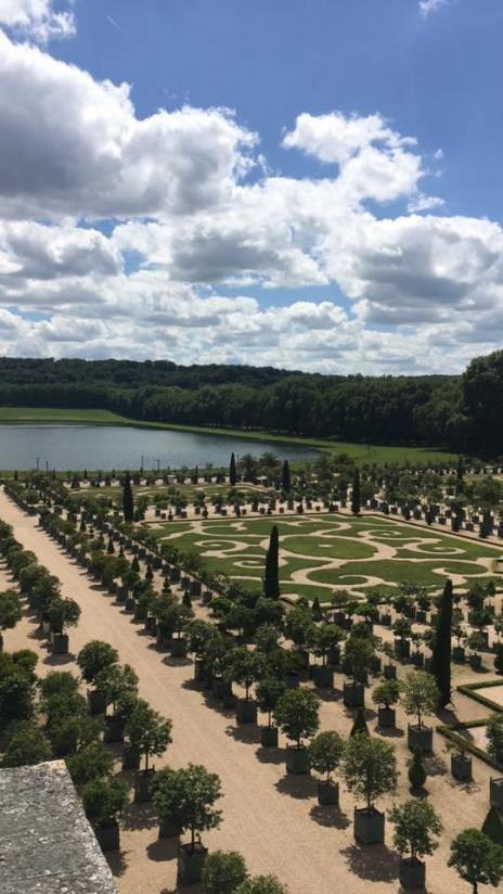 19060218_10212162482031549_5673358027957423239_n