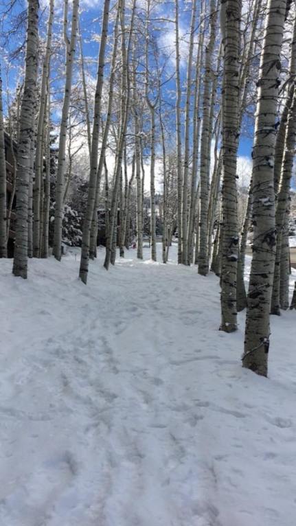 aspen 3